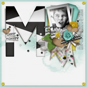 FUNNY MONKEY