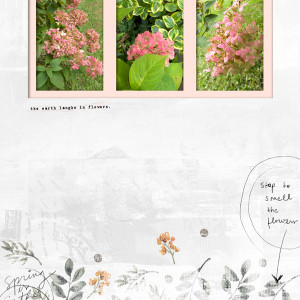 Little-Butterfly-Wings_2020-04_April_SOSN_0422_Blossom_web