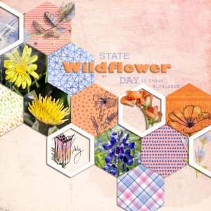 State Wildflower Day 02