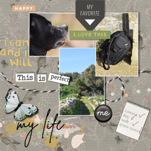 Inspiration -5-words-describes-it