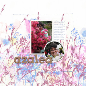 200427_azalea
