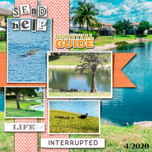 Send Help! There's an Alligator in the Pond!