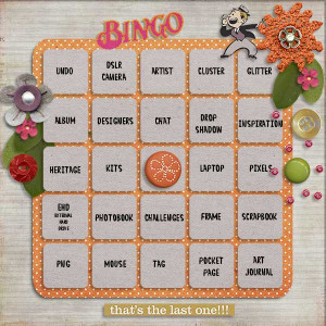 2020 iNSD-Bingo