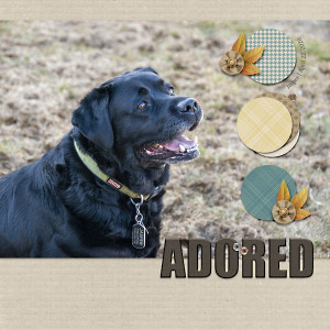 Adored
