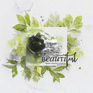 Beautiful - NBK Designer Challenge