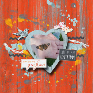 Painted Lady Butterflies Love