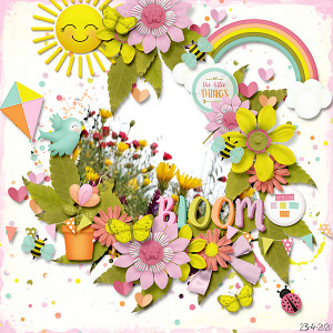 Bloom