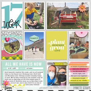week 17