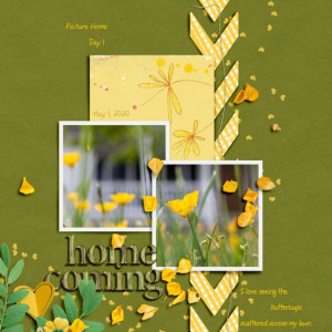 05insdSoco_template-buttercups