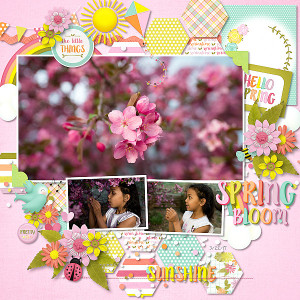 Spring Bloom