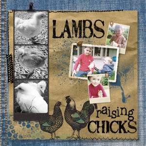 Style Challenge_05-20_PhotoBooth_chickens