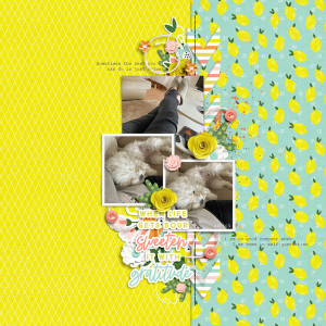 iNSD 2020 Template challenge