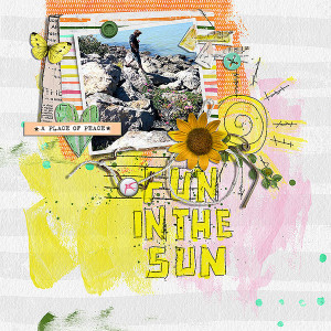fun in the sun