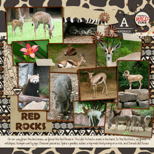 20130813 so many animals