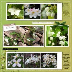 200423-30_flowers