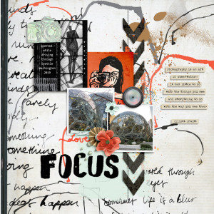 Focus