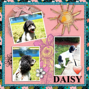 May Community Scrap With Dalis