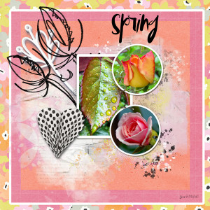CommunitySlowScrap_spring