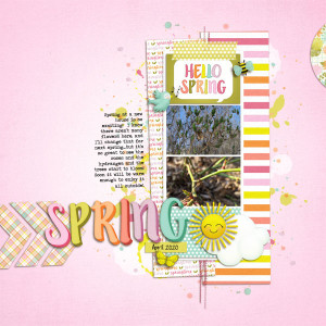 SwL_MBC_12_19Temp-KA-Springy