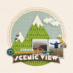 Scenic View