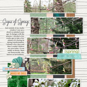 2020-05_May-TLP_Blooming-Spring_0501_web