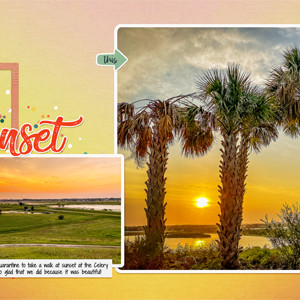 Sunset at the Celery Fields