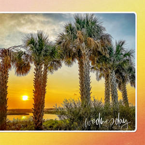 Sunset at the Celery Fields_right