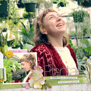 Plantae