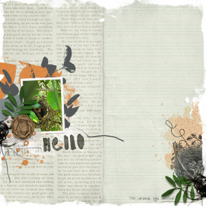 Hello, Birds! (May 2020 Template Challenge)