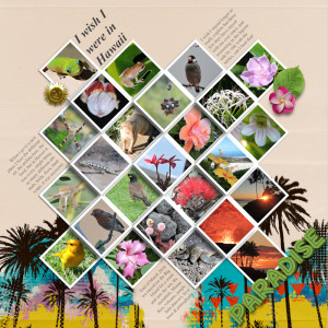 1803end_Hawaii