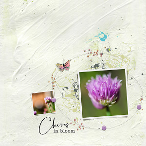 20-05_TLP_May-Photography-Challenge-copy