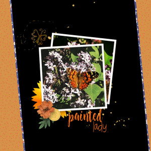 Elif Sahin Designs_Challenge_05-20_Butterfly