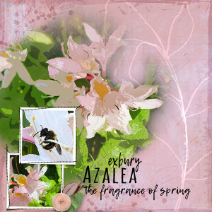 05-2020_Mixed-Media_ExburyAzalea