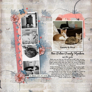 Our Feline Family Members - over the years