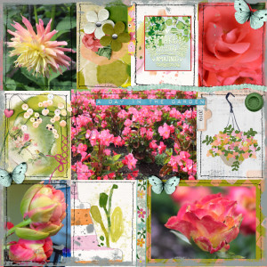 Day In The Garden