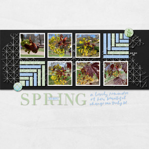 2020_May_RedMaple