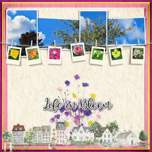 Fdd_lifeinbloom