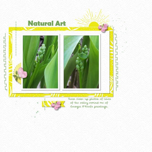 Natural Art