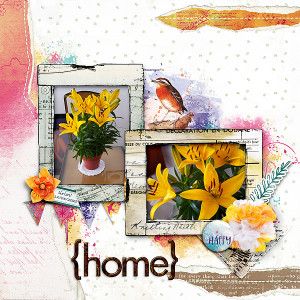 {home}