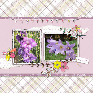 Lynn Grieveson Design Challenge