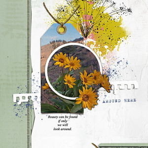 Around-here-May15_flowersgal_web