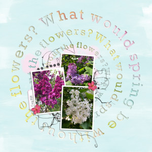What would spring be without the flowers?
