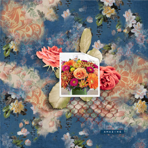 Lilypad-may-photography