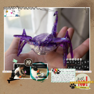 KittyAndScorpion052020PC