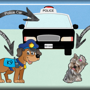 Police-Units