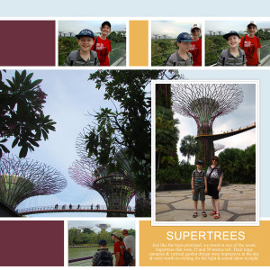 singapore-right-LG_modular-album-4-600px