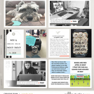 PL2020 - Week 14 | Sahlin Studio