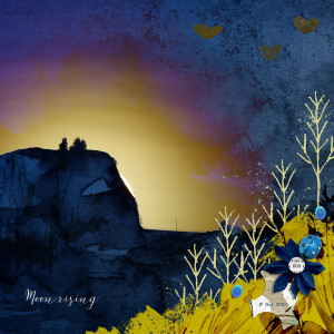 200507_moon Rising