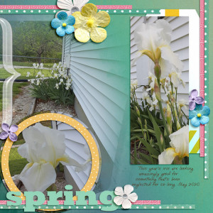 Spring-2020