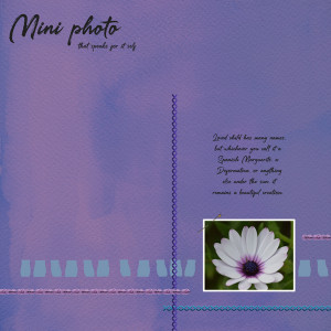 Mini-photo